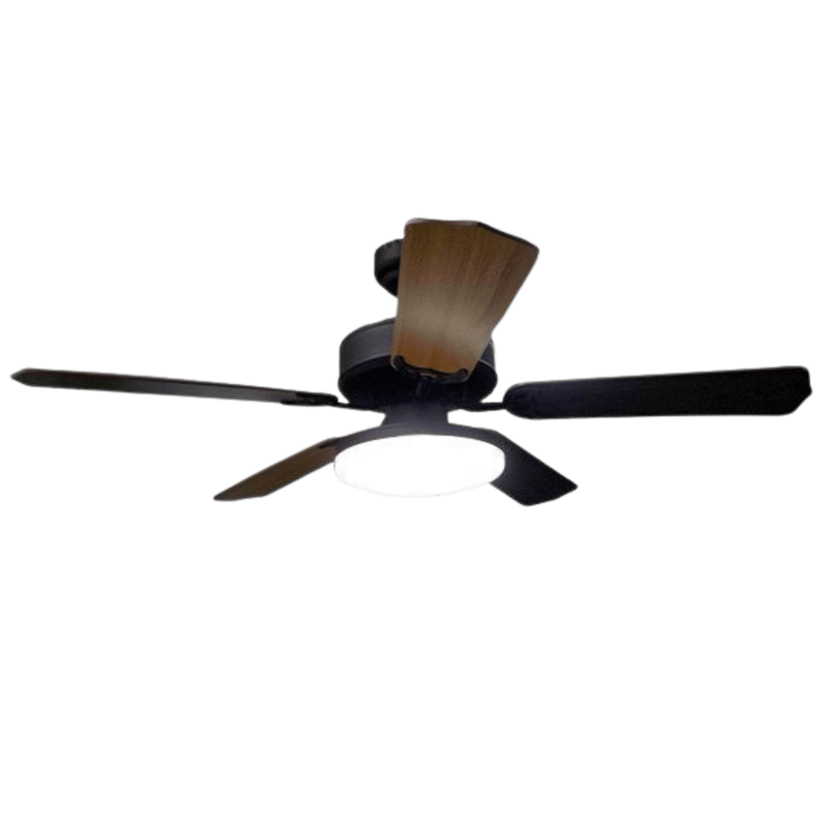 Ventilateur de plafond 12V