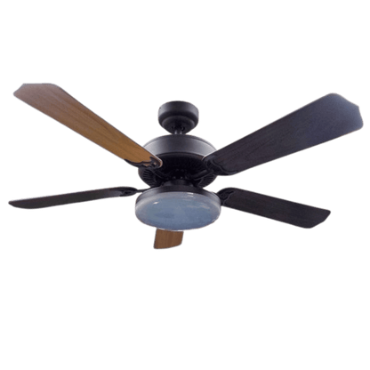 Ventilateur de plafond 12V